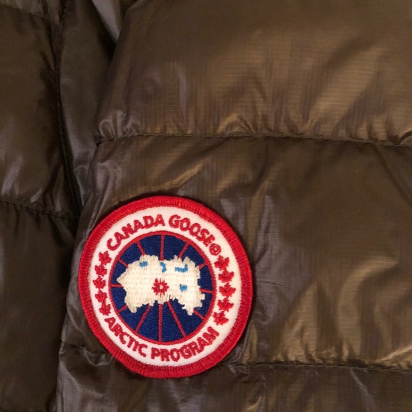 Canadian goose - Picture 3 of 4